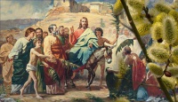  24   -    ,   