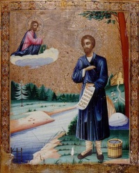 31     